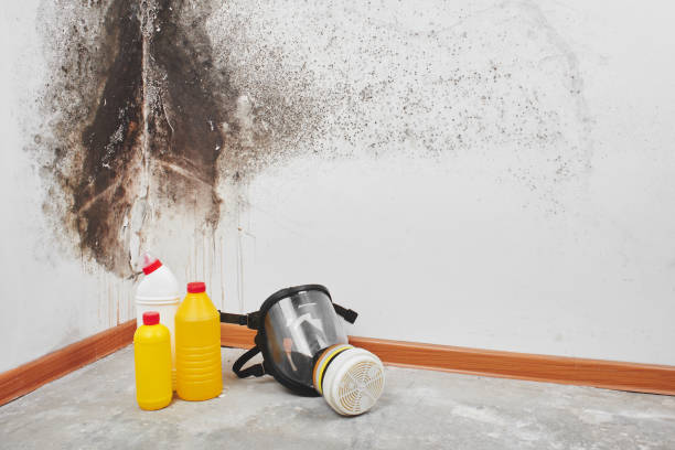Attic Mold Removal in Fort Smith, AR