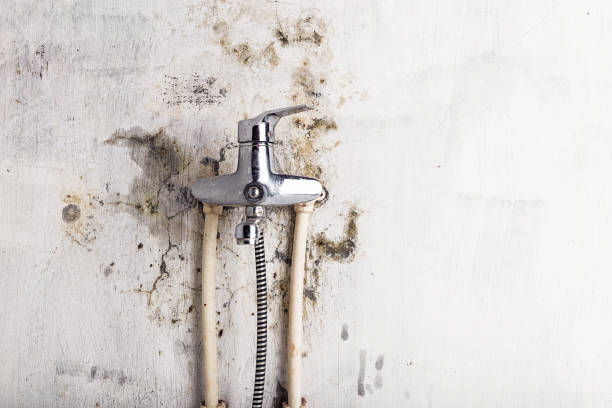 Mold Testing and Removal in Fort Smith, AR