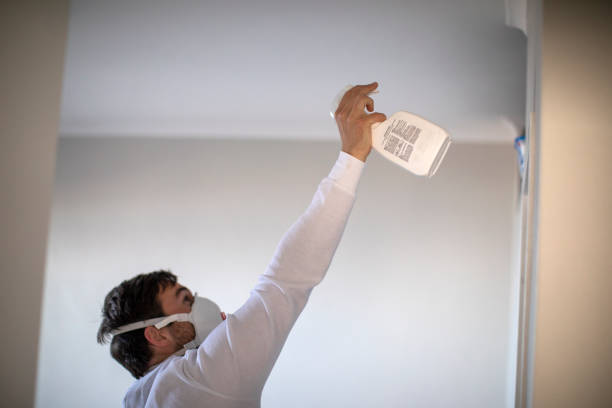 Best Certified Mold Removal  in Fort Smith, AR