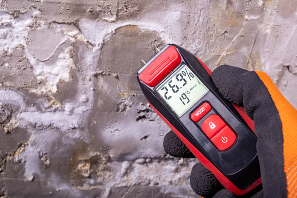 Best Attic Mold Removal  in Fort Smith, AR